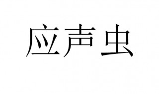 应声虫指的是哪一类人 应声虫代表哪种人