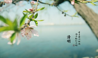 为什么清明节总在公历4月5日左右 为什么清明节总在4月5日左右