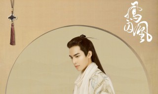 凤囚凰容止失忆了吗 凤囚凰简介