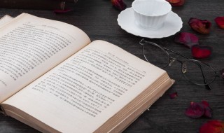 纠纷什么意思 纠纷解释