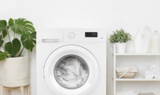 洗衣机水垢怎么清洗彻底干净 洗衣机水垢清洗干净的方法