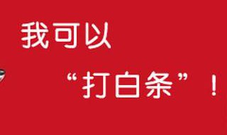 京东白条怎么开 怎么开京东白条