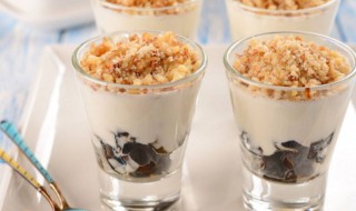 珍波椰是什么 珍波椰的介绍