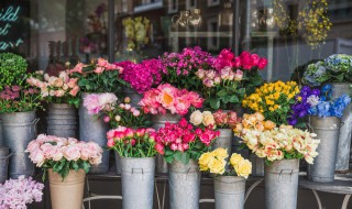 各种花的花语是什么 各种花的花语汇总