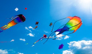 南风是指从什么面向什么面刮的风 南风是指从什么