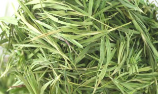 白莲花和绿茶婊的区别是什么 白莲花和绿茶婊的区别有哪些