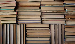 水笕指的是啥东西 水笕的简介