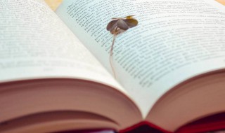 领头羊指的是哪些人 领头羊解释