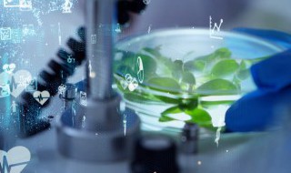 气溶胶指的是什么 气溶胶指的是什么东西