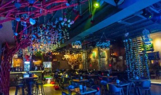 清吧是指什么地方 清吧简单介绍