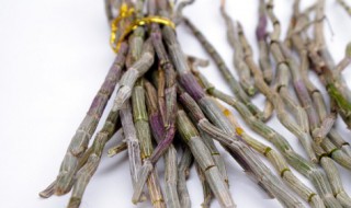 石斛如何养殖 石斛养殖的方法