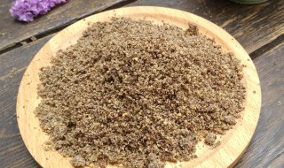 苏子粉是什么 什么是苏子粉