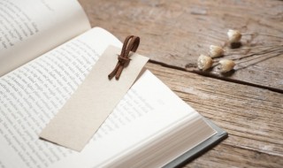 抗日英雄王小二的故事 关于抗日英雄王小二的故事