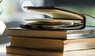 若此是什么意思 若此的意思是什么