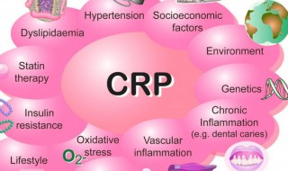 crp是什么 什么是crp