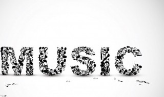 歌词我的心都是为你陶醉的 歌在飞的歌词简介