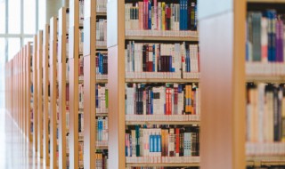 bangladesh是指什么国家 bangladesh的简介