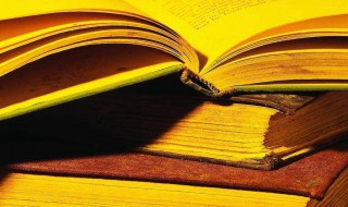 工匠精神指的是什么 工匠精神介绍