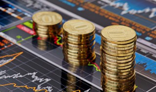 股种什么意思是什么 关于股种的意思介绍