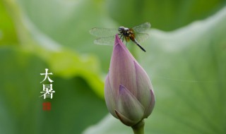 关于大暑的诗句 大暑的诗句示例