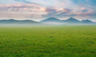 若尔盖草原简介 若尔盖草原介绍