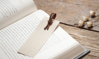 captain什么意思中文 captain的解释