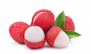 苏轼关于荔枝的诗句 苏轼荔枝的诗句有哪些呢