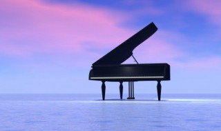 我还没有开始招摇歌词 我还没有开始招摇歌词是什么