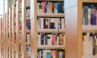 卓的意思和含义是什么 卓的意思和含义