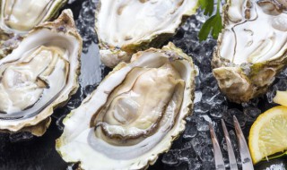 如何判断生蚝是否变质 怎么判断生蚝是否变质