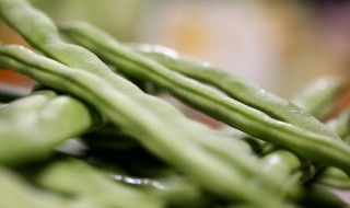 新鲜扁豆角怎么保存 新鲜扁豆角怎么冷冻呢