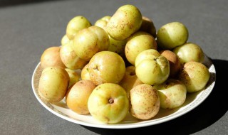 油甘果作用与功效 盘点油甘果的作用