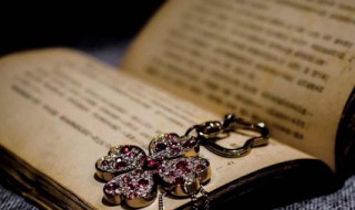 外的组词有哪些 外怎么组词