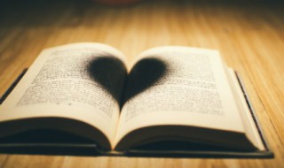 主组词有哪些 主怎么组词