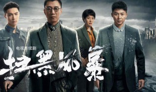 扫黑风暴播出时间在哪个台 扫黑风暴剧情简介