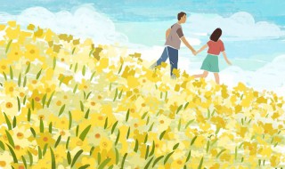 陨落歌词 陨落歌曲介绍