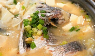 鲫鱼汤苦是怎么回事 鲫鱼汤苦是怎么了