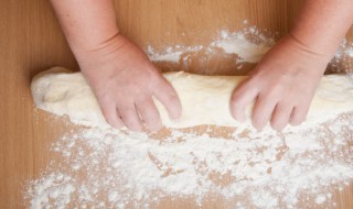 酵母是什么东西 什么是酵母