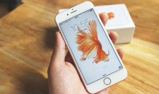 手机照片删除恢复的方法 照片恢复小技巧