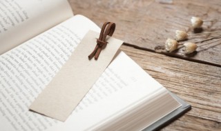 春秋战国时期的四大君子指谁 春秋战国时期的四大君子介绍