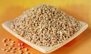 大麦是什么意思 大麦意思是什么