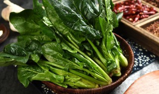菲律宾菠菜什么意思 菲律宾菠菜解释