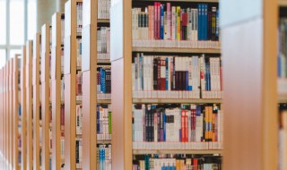 双耳朵旁的字 双耳朵旁的字有什么