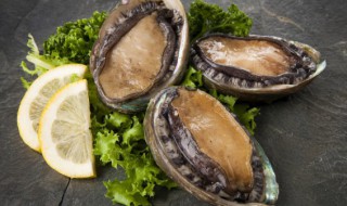 鲍鱼几个头指的是什么 鲍鱼几个头的介绍