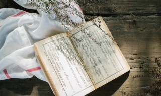 晓出净慈寺送林子方这个题目是什么意思 晓出净慈寺送林子方原文介绍