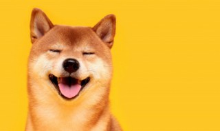 盛满甜蜜指什么 盛满甜蜜是什么意思