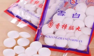 樟脑丸能对付哪些虫子 樟脑丸防哪些虫