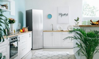 冰箱怎么不结霜小妙招 冰箱不结霜的方法