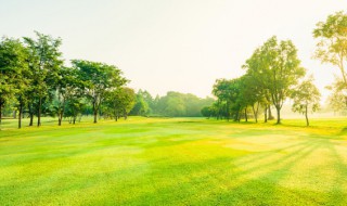 一缕阳光是什么意思 一缕阳光的解释