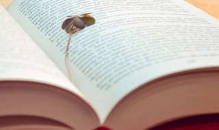 蹉跎岁月什么意思 蹉跎岁月解释